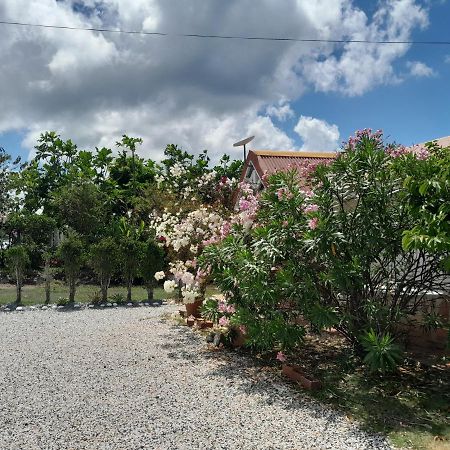Le Diamant Charmante Villa Pour La Famille Ou Entre Amis Spa Et Piscine ภายนอก รูปภาพ